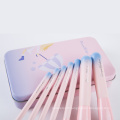 7PCS New Design Pink Cosmetic Makeup Brush Set with Iron Case